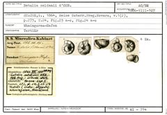 Karteikarte zum Abbildungsoriginal von Rotalia soldanii d'Orbigny, 1826